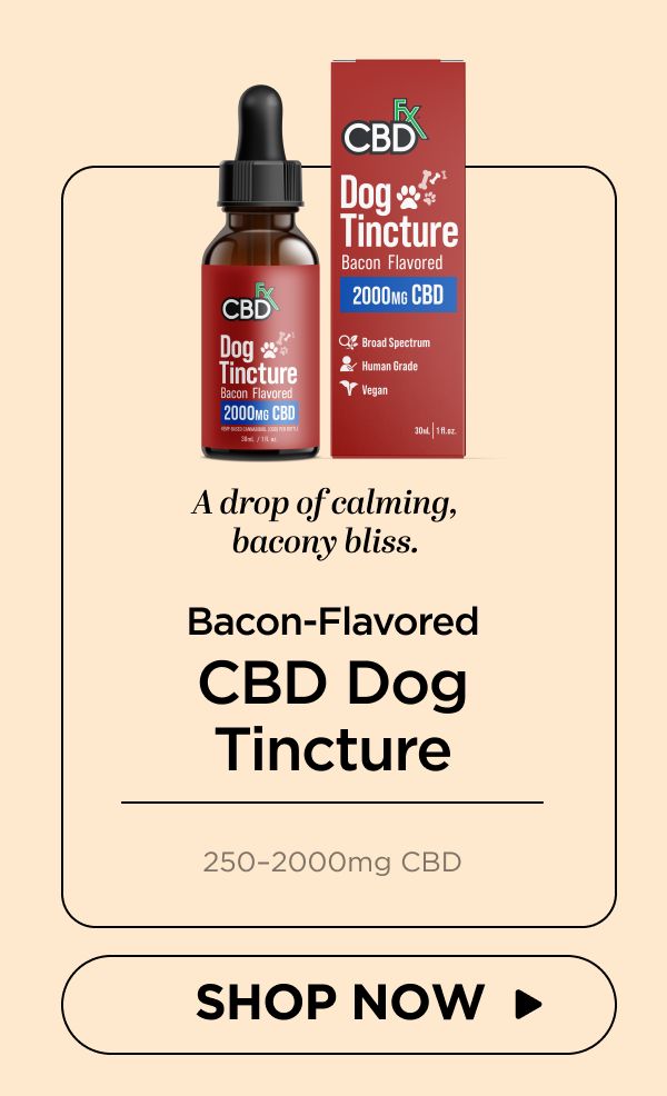 CBD Oil for Dogs (Bacon Flavored)