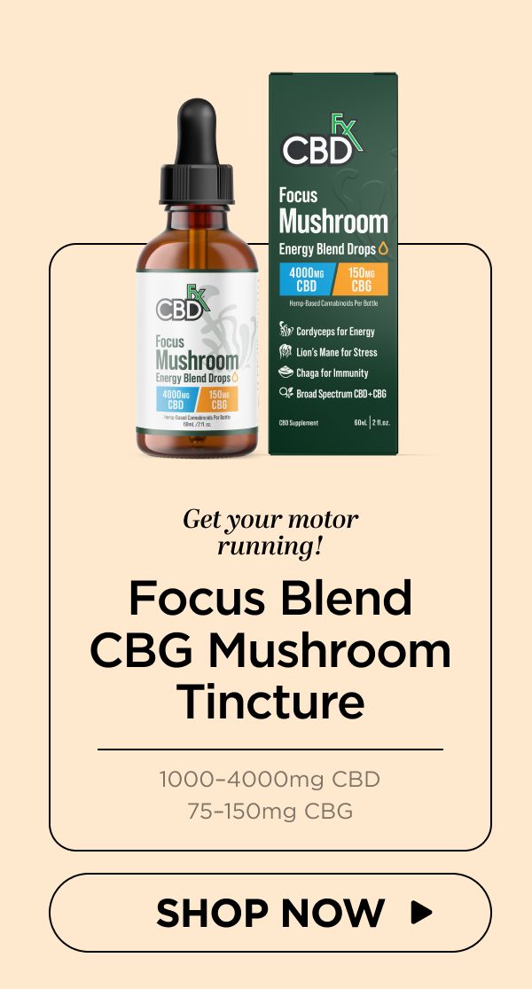 Focus Mushroom Drops