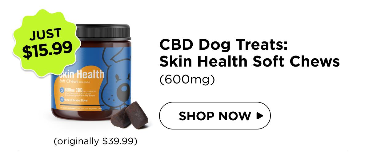 CBD Dog Treats: Skin Health Chews