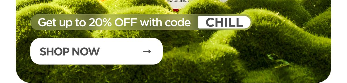 Get up to 20% OFF with code CHILL SHOP NOW