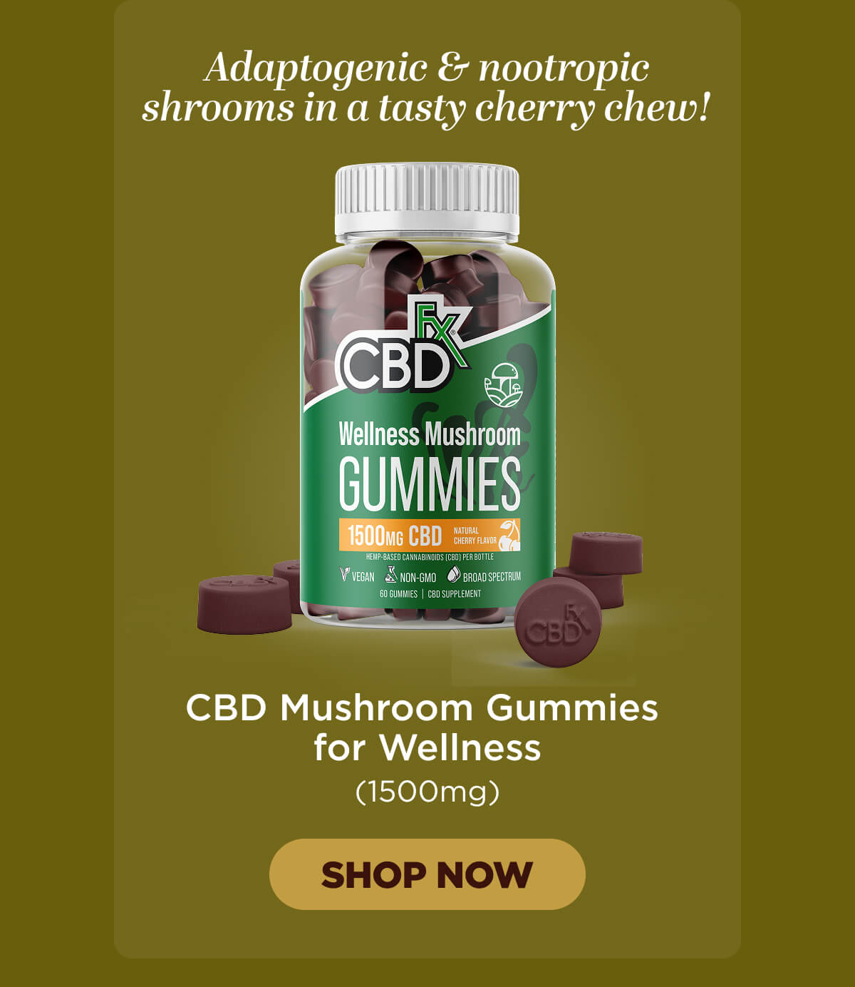 Wellness Mushroom Gummies