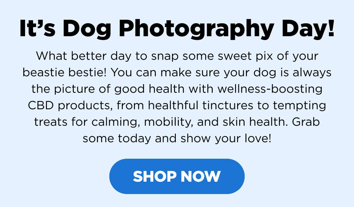 It’s Dog Photography Day! What better day to snap some sweet pix of your beastie bestie! You can make sure your dog is always the picture of good health with wellness-boosting CBD products, from healthful tinctures to tempting treats for calming, mobility, and skin health. Grab some today and show your love! [SHOP NOW]