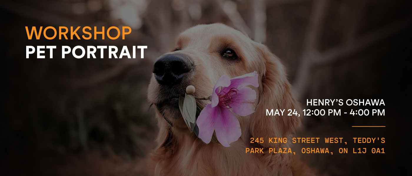 Henry's Oshawa - Pet Portrait Workshop