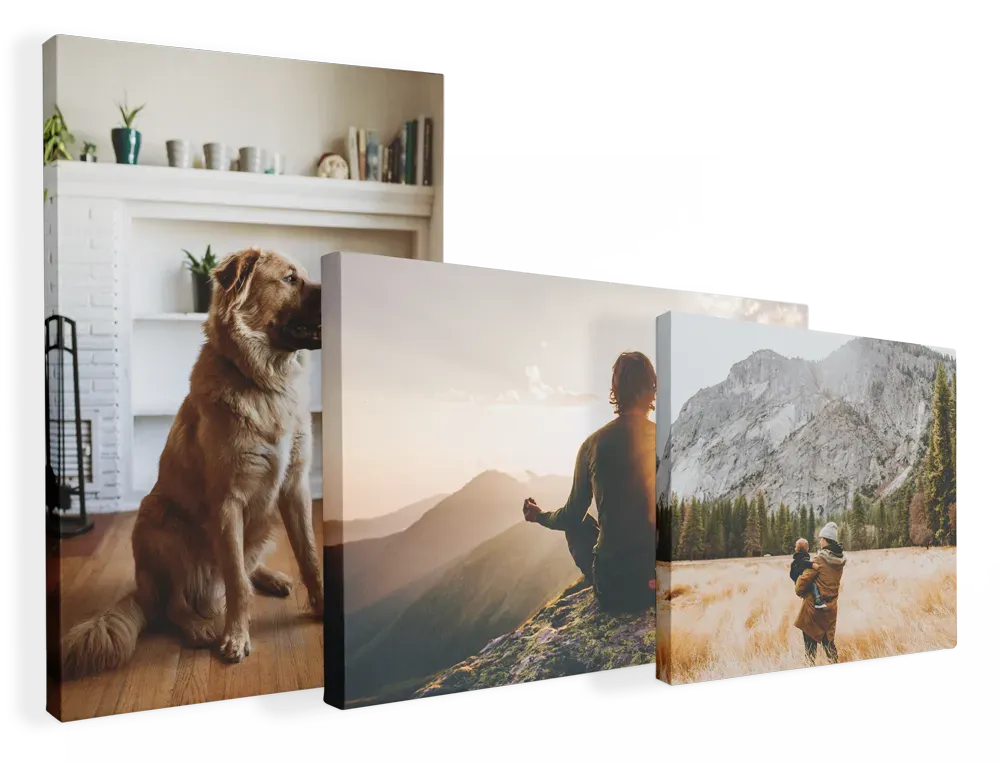 Shop Canvas Wraps