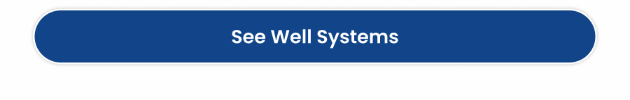 See Well Systems
