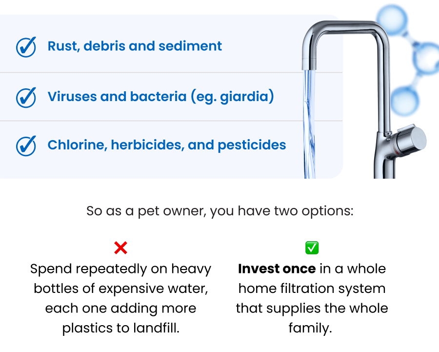 Does Your Water Pass the Pet Test? So as a pet owner, you have two options: