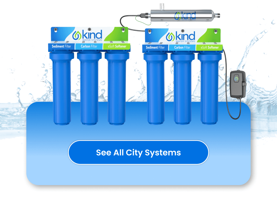 See All City Systems