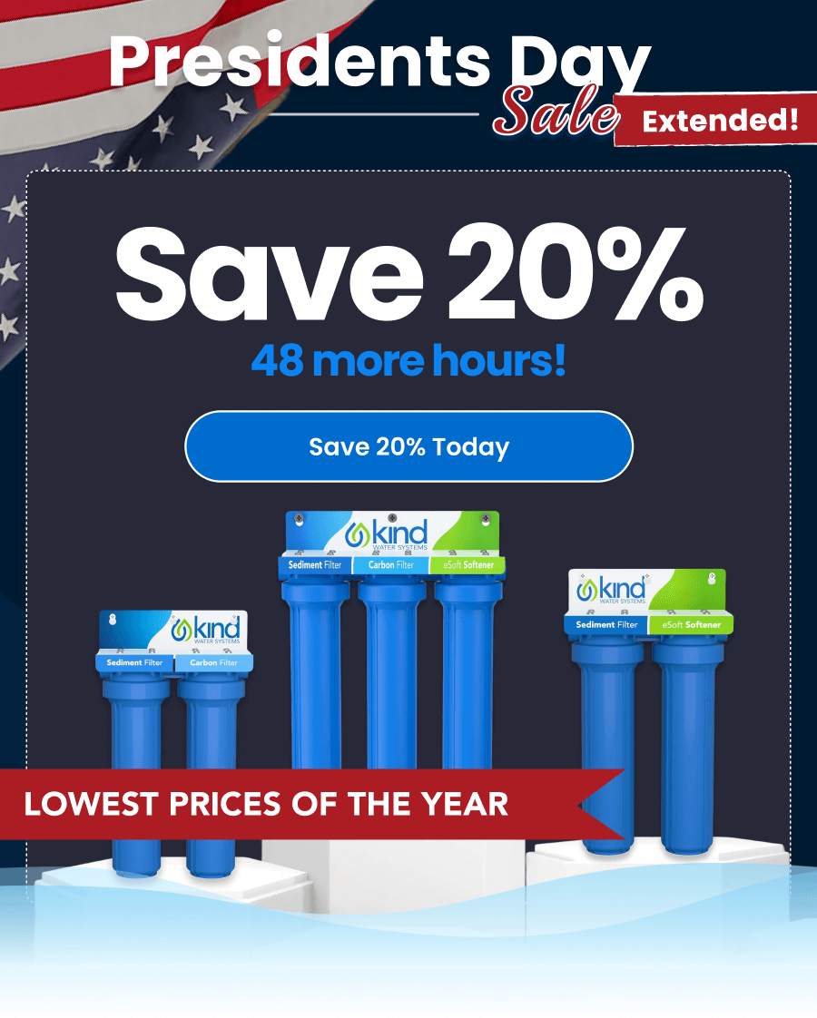 Presidents Day Sale Extended. Save 20% Today