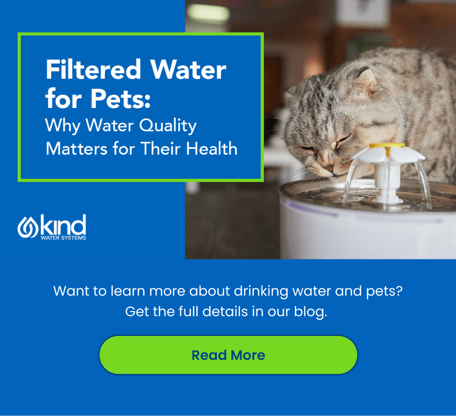 Filtered Water For Pets. Read More