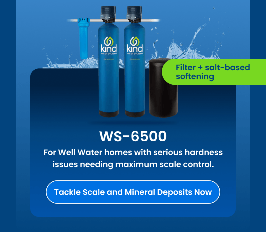WS-6500. Tackle Scale and Mineral Deposits Now