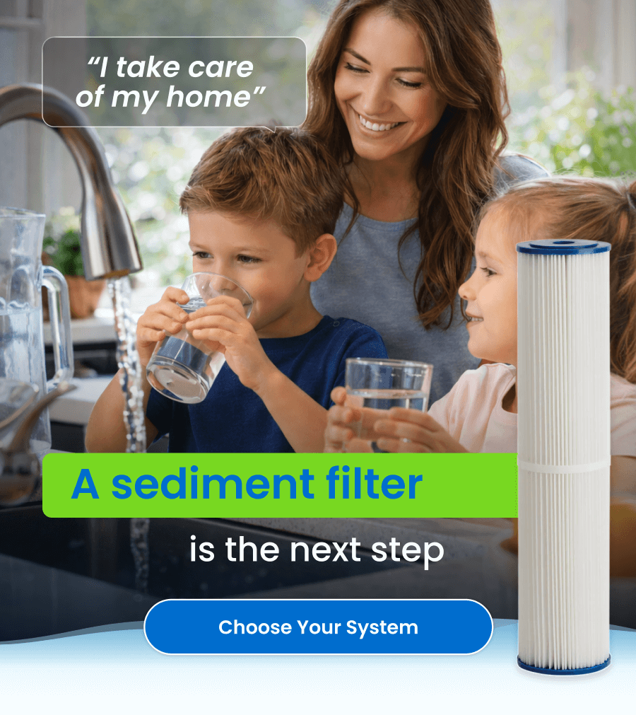 A sediment filter is the next step. Choose Your System