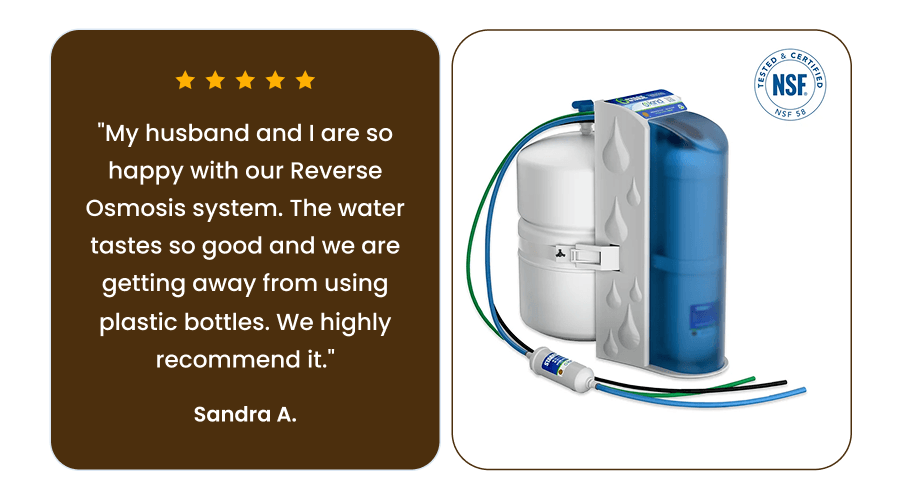 Customer Reviews