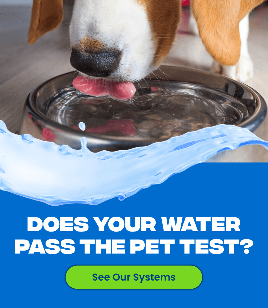 Does Your Water Pass the Pet Test? See Our Systems