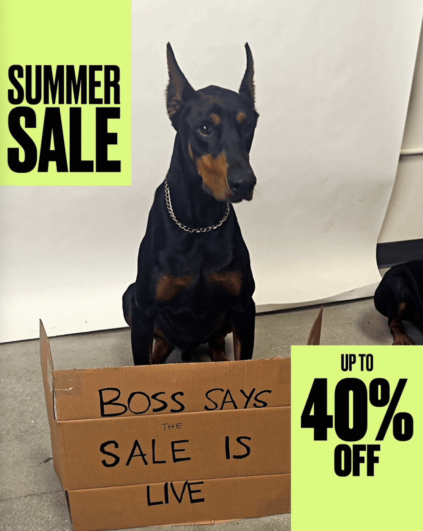 Boss Says Sale is Live