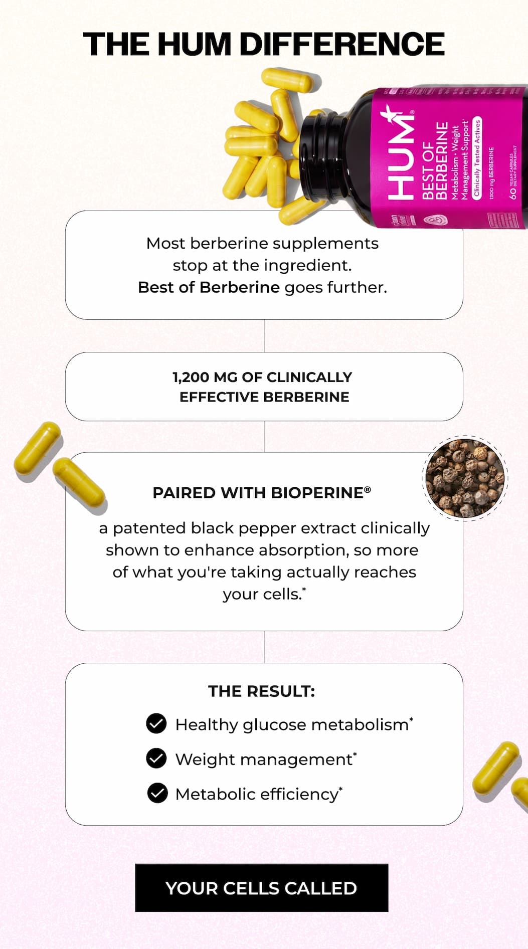 Best of Berberine - The Hum Difference