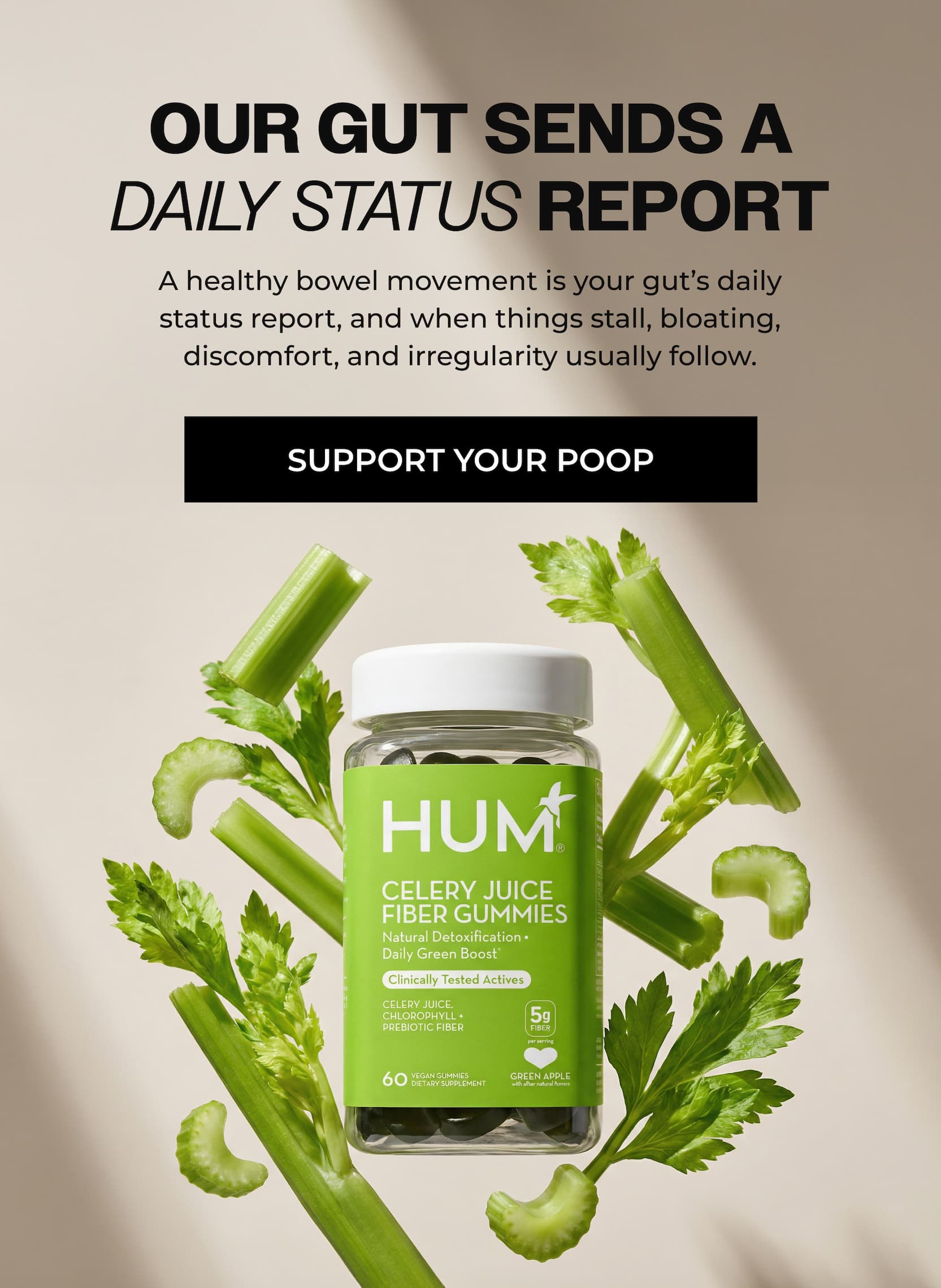 Celery Juice Fiber Gummies