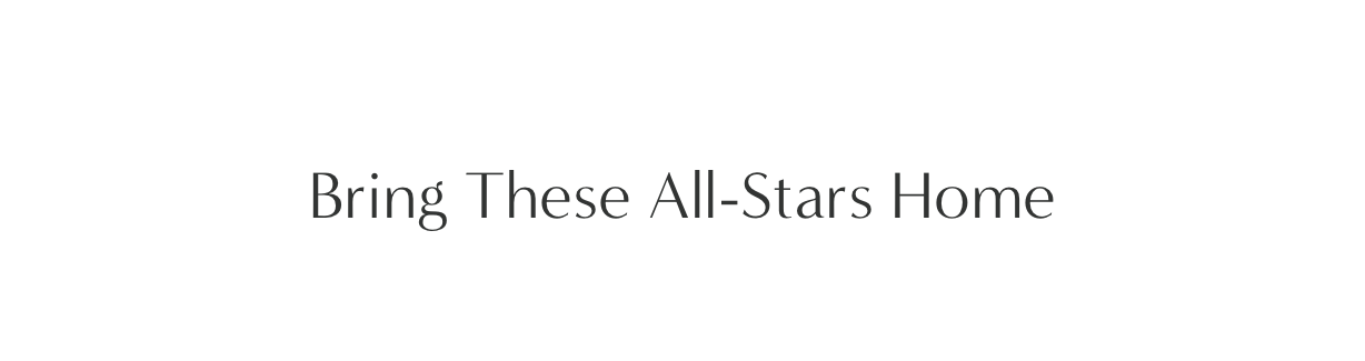 Bring These All-Stars Home