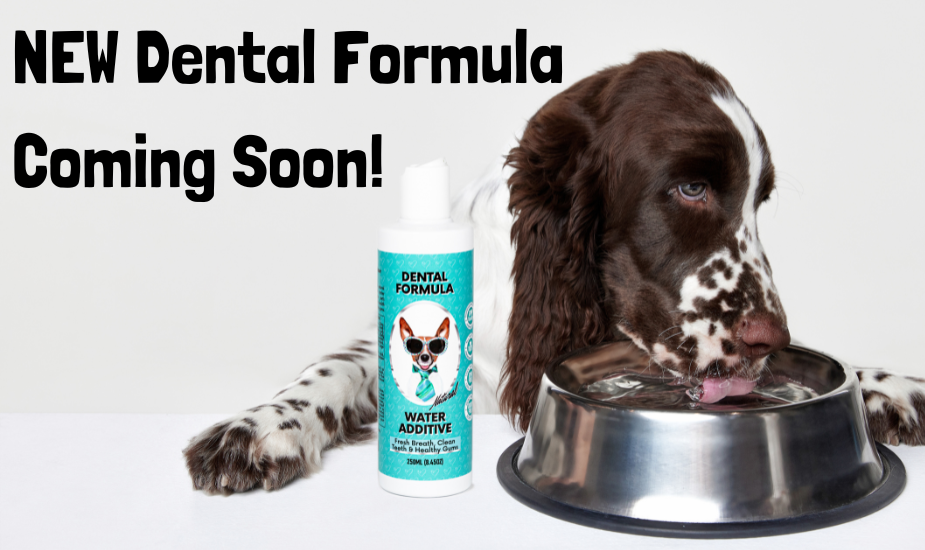 [New Dental Formula] Brand new NutriPaw coming soon! NutriPaw