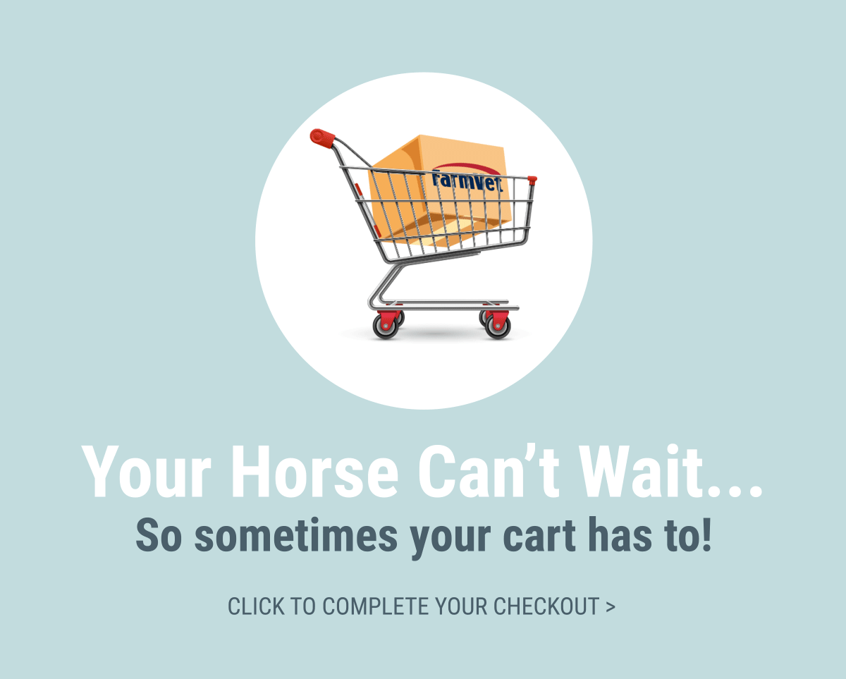 Complete checkout