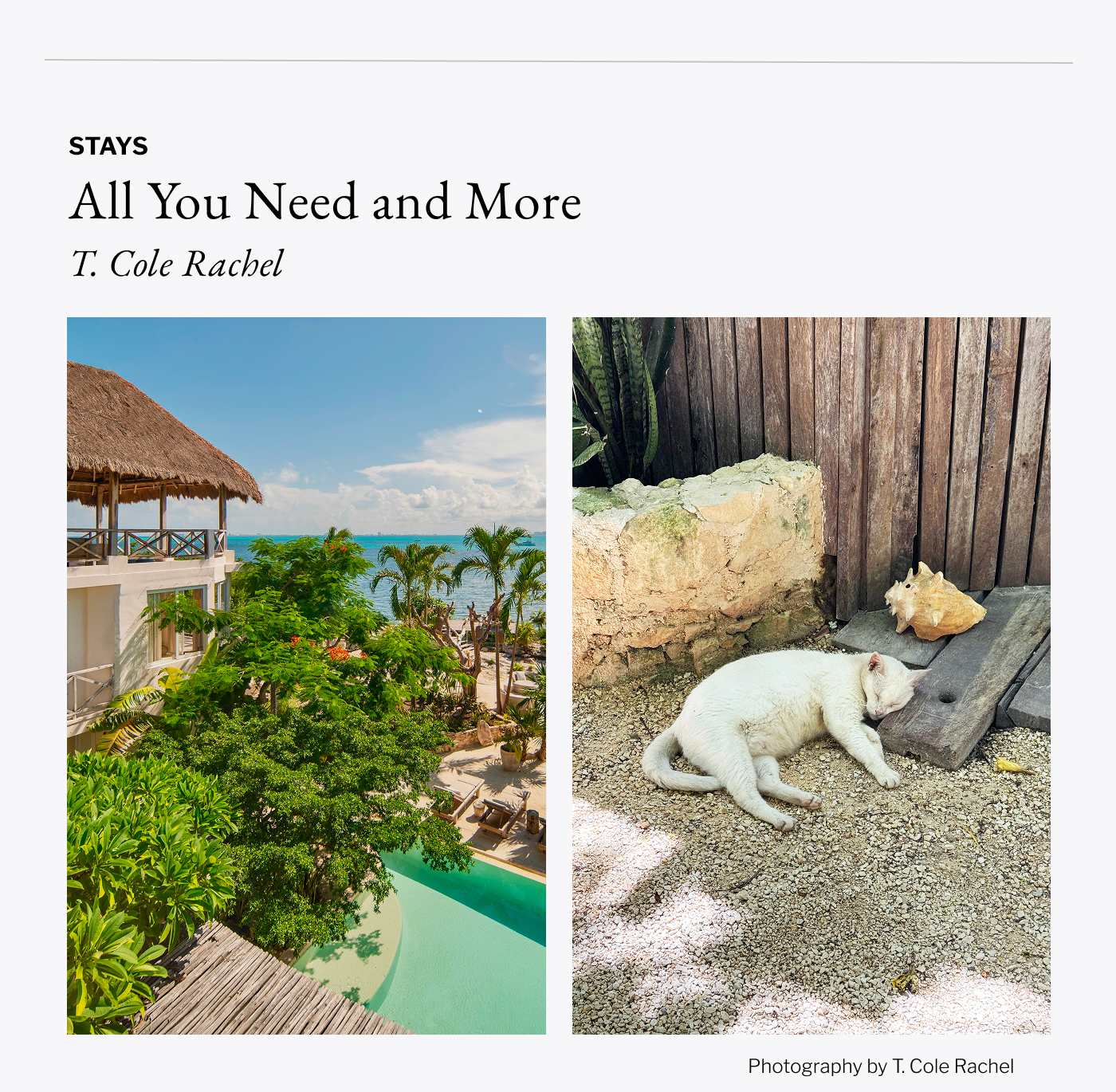 Stays - All You Need and More