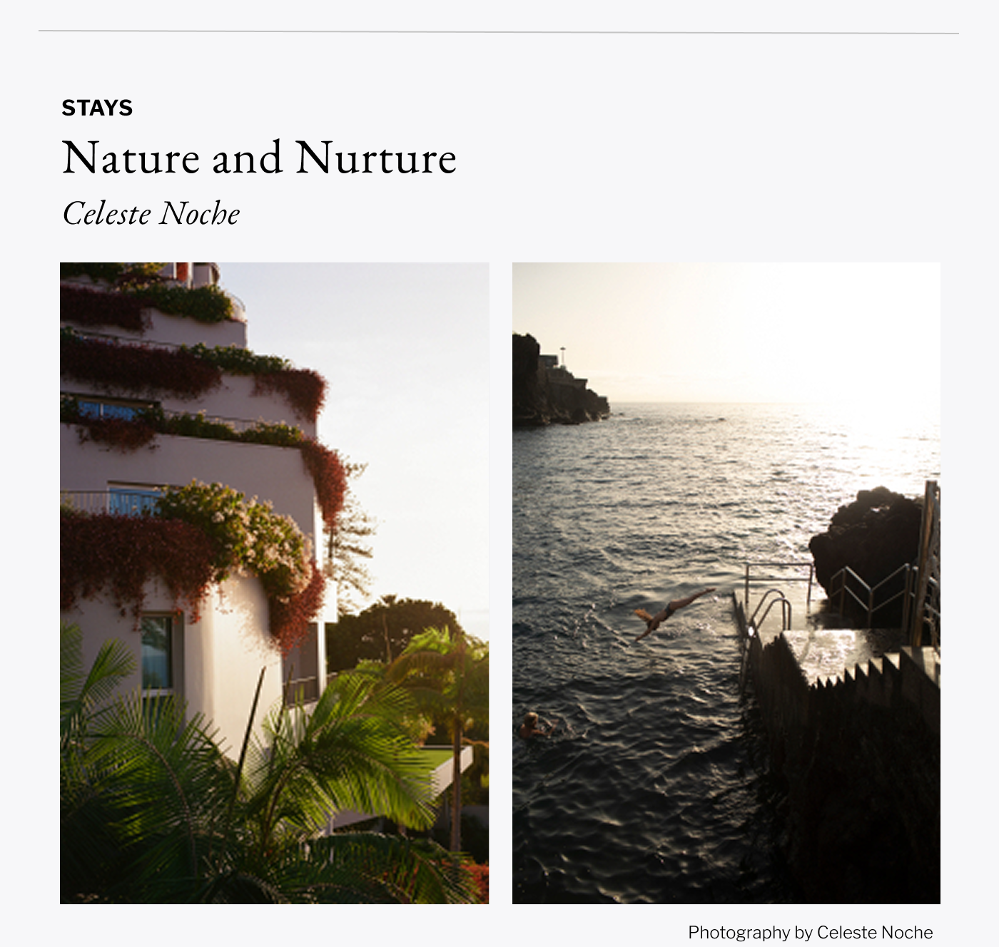 Stays - Nature and Nurture