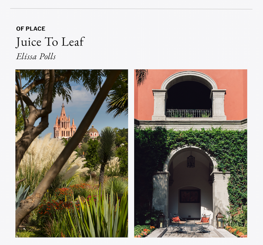 Of Place - Juice to Leaf