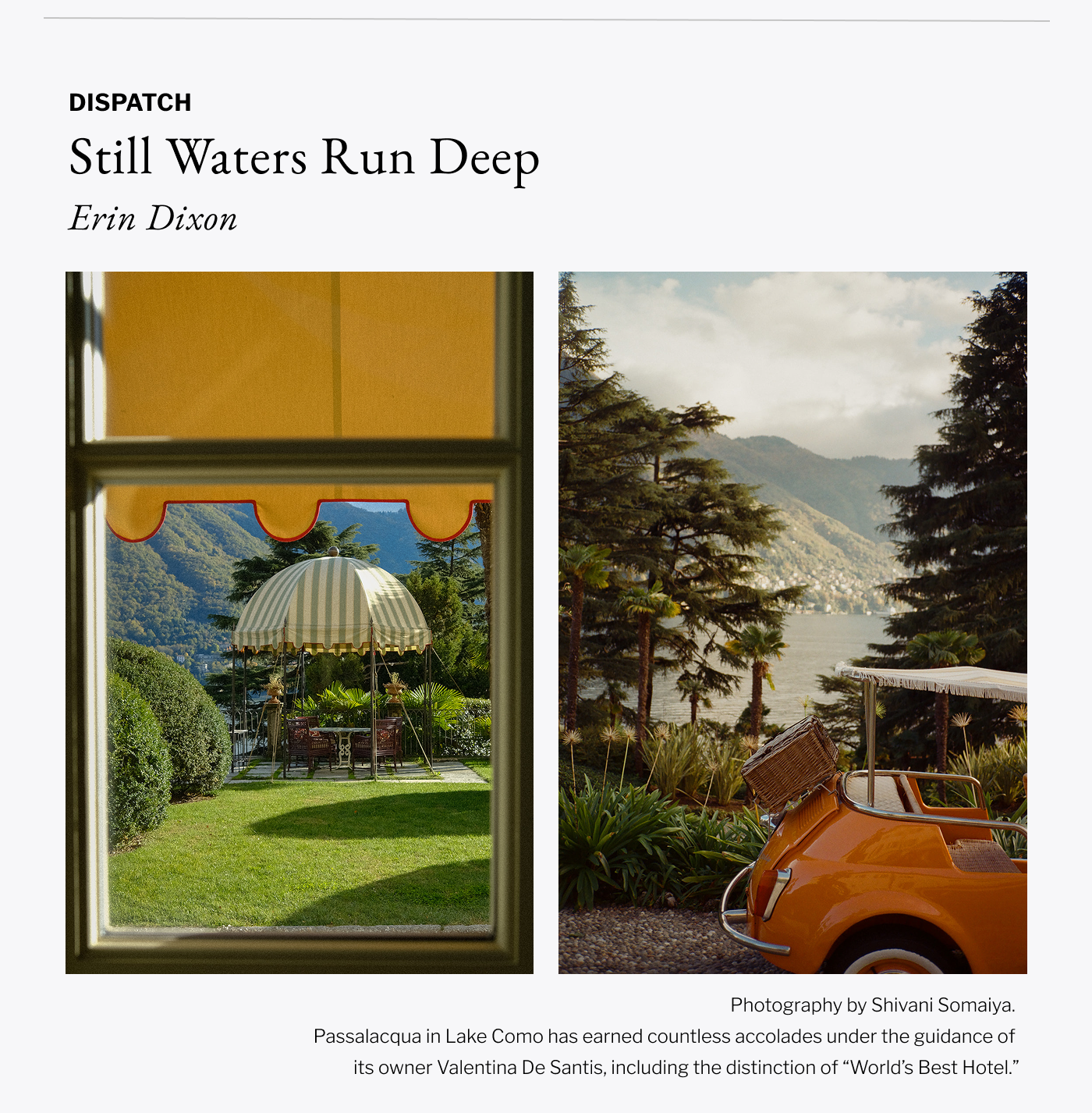 Dispatch - Still Waters Run Deep