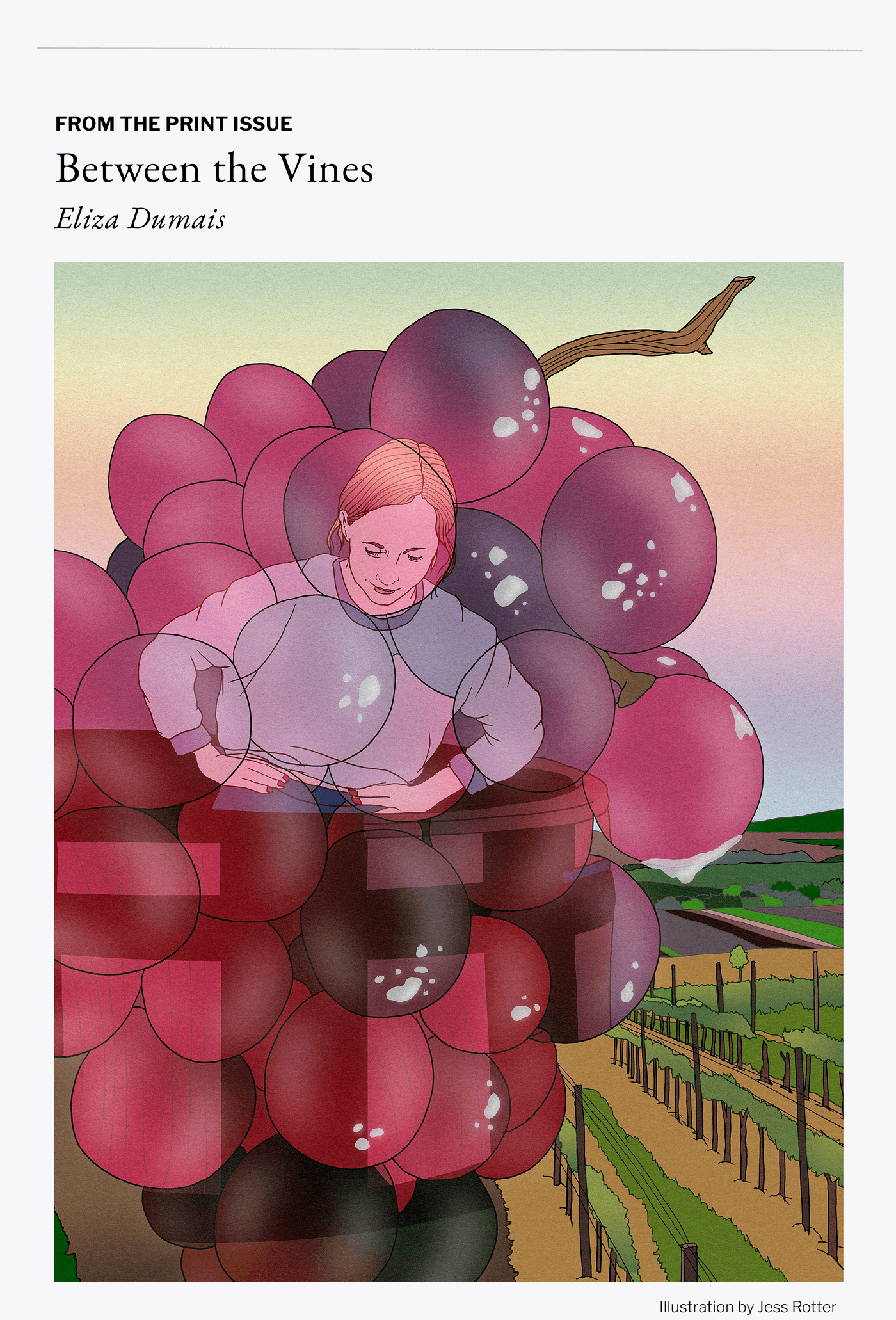 From The Print Issue - Between The Vines