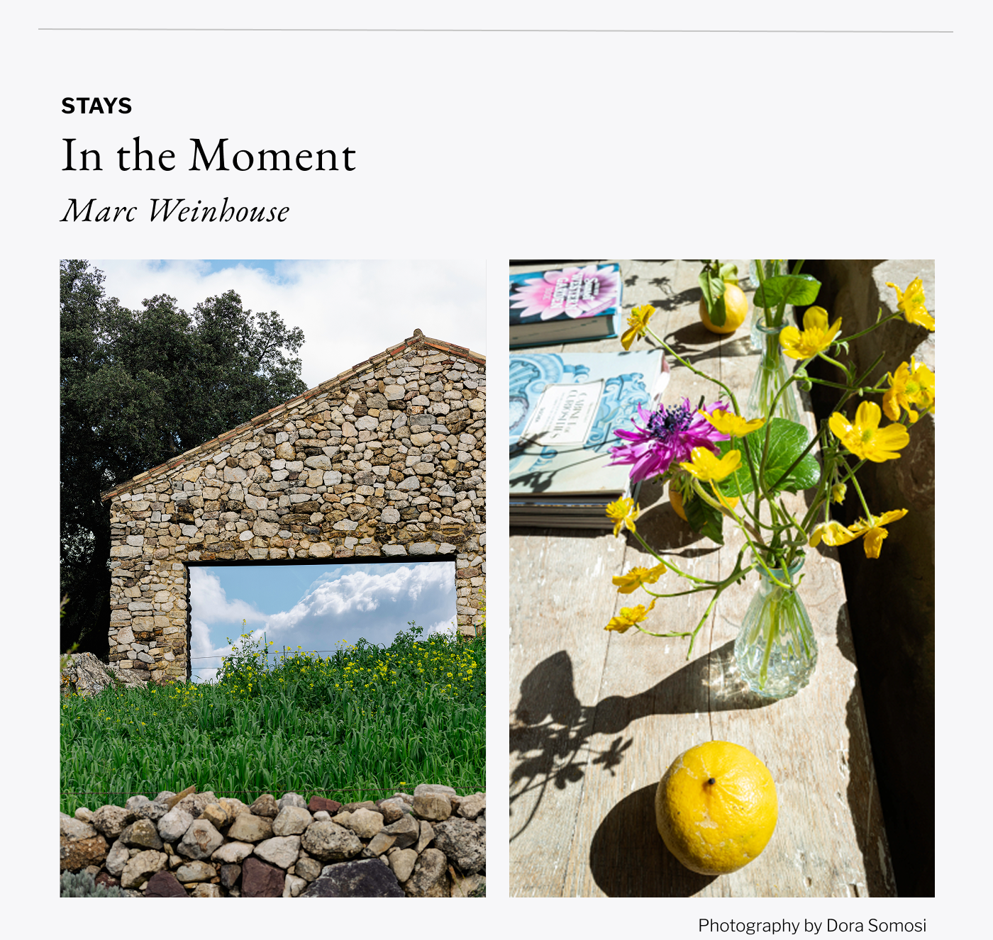 Stays - In the Moment