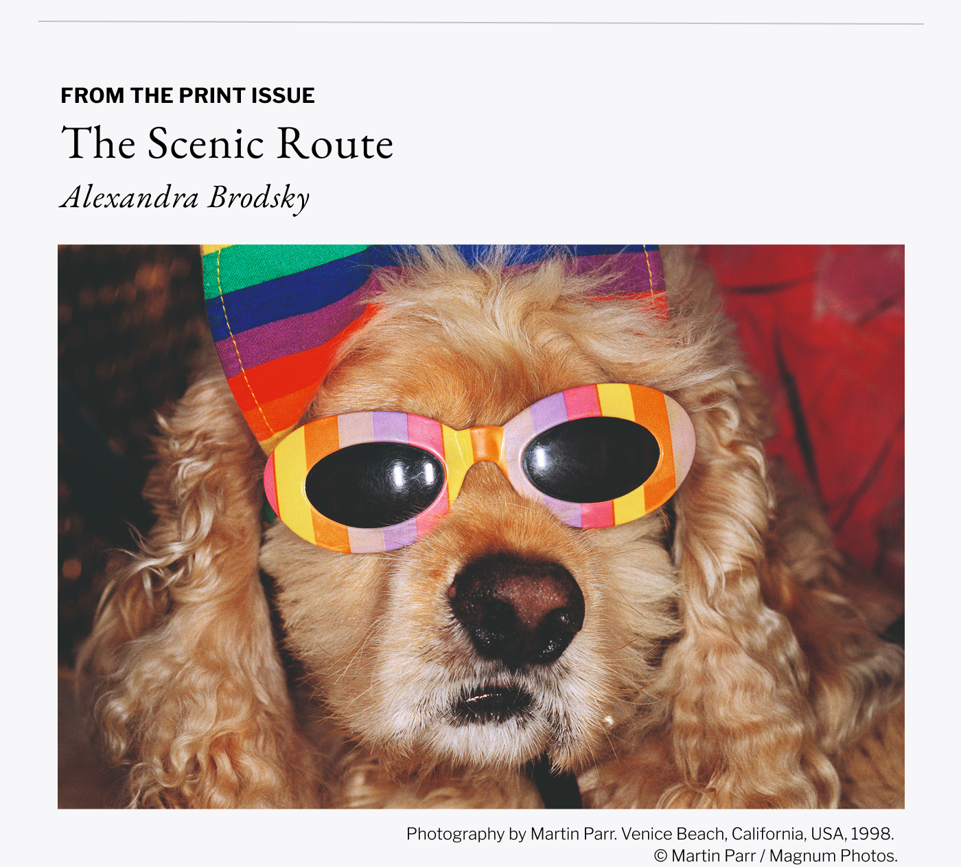 From the Print Issue - The Scenic Route