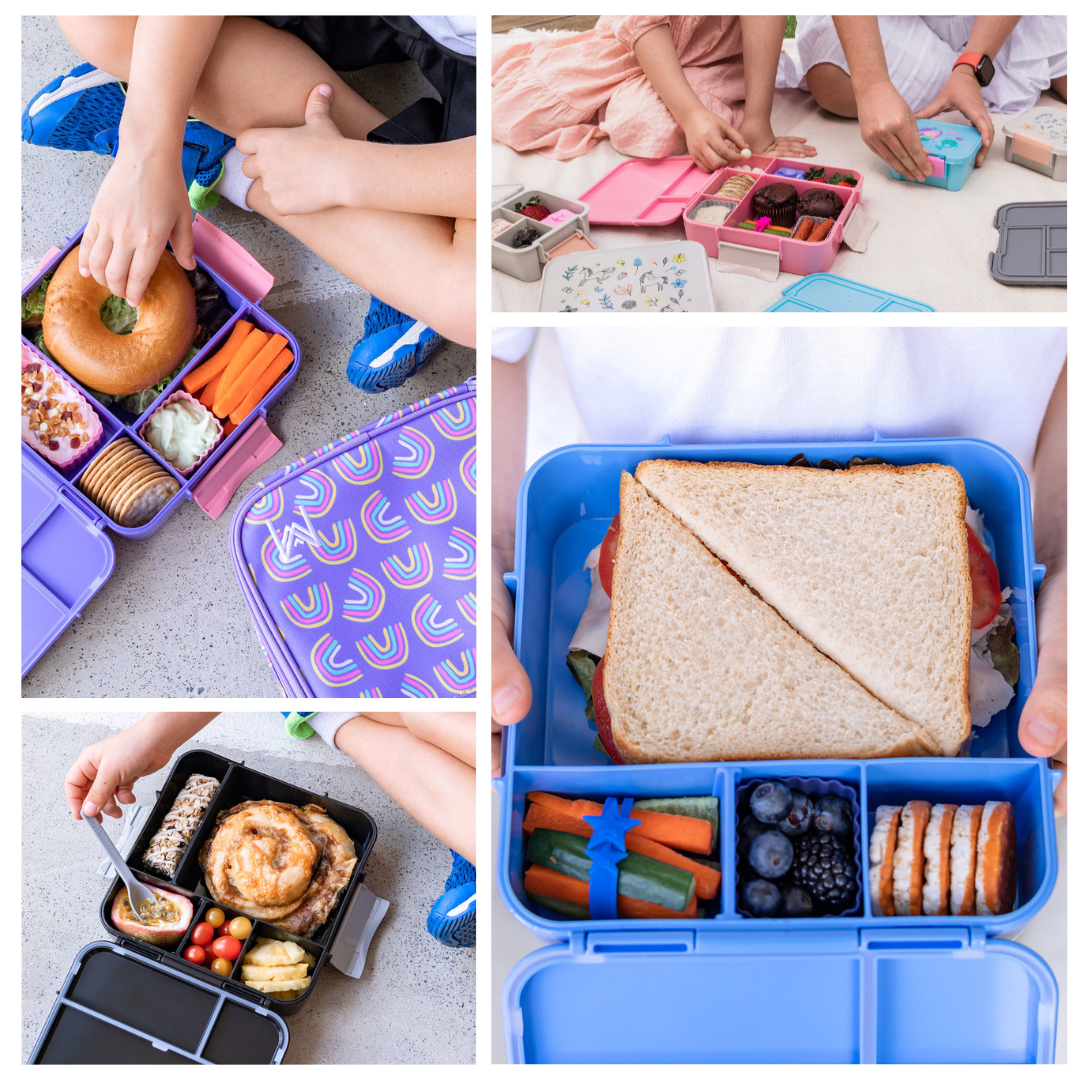 🍉 Meet the Bento Three Plus! 🍉 Scarlett Tippy Toes