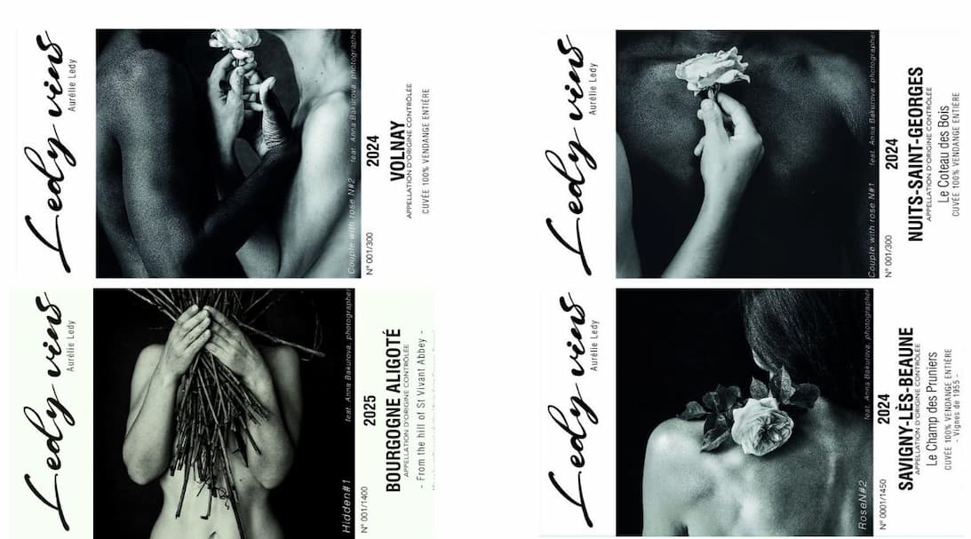 LEDY VINS 2024/2025 LABELS