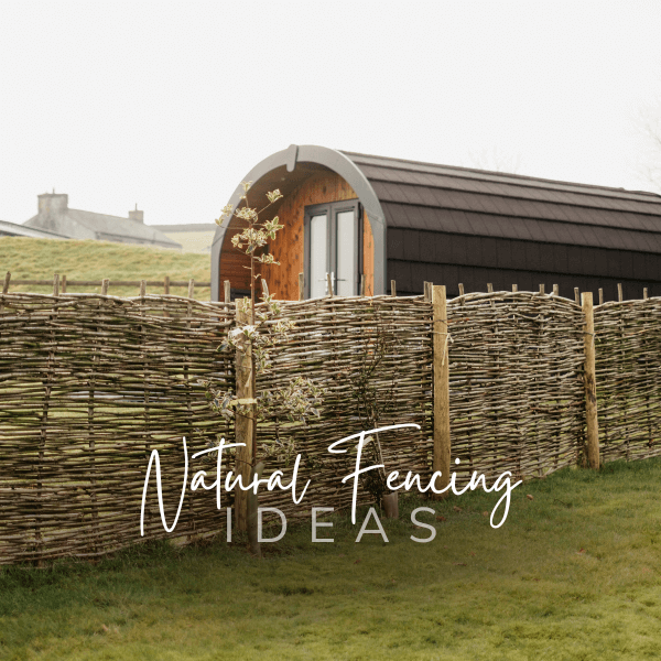 natural-fencing-ideas-primrose