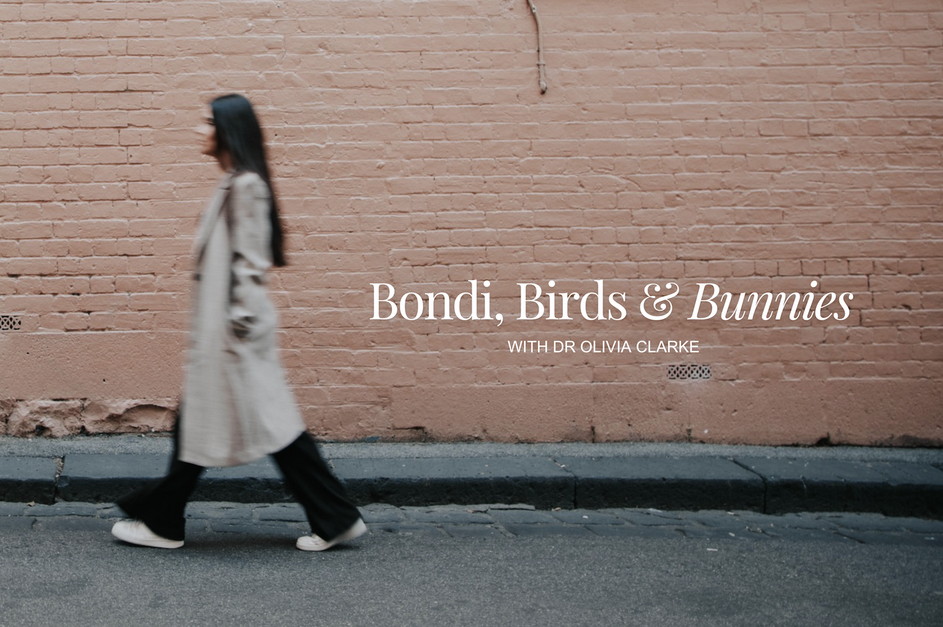 Bondi, Birds & Bunnies