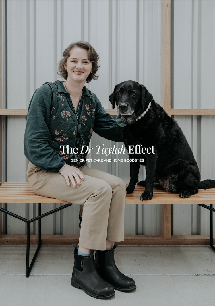 The Dr Taylah Effect
