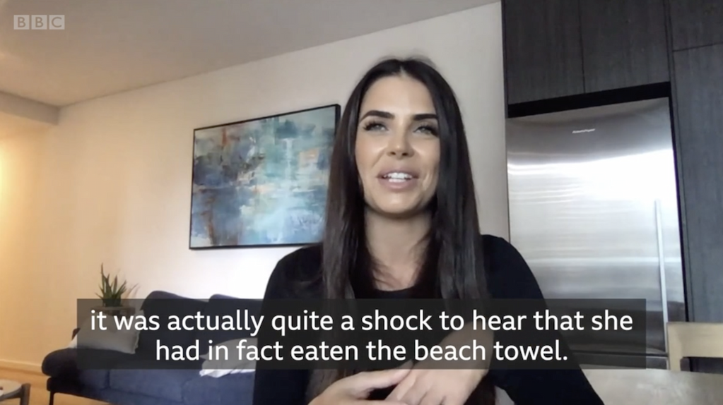 Monty the python eats a beach towel!