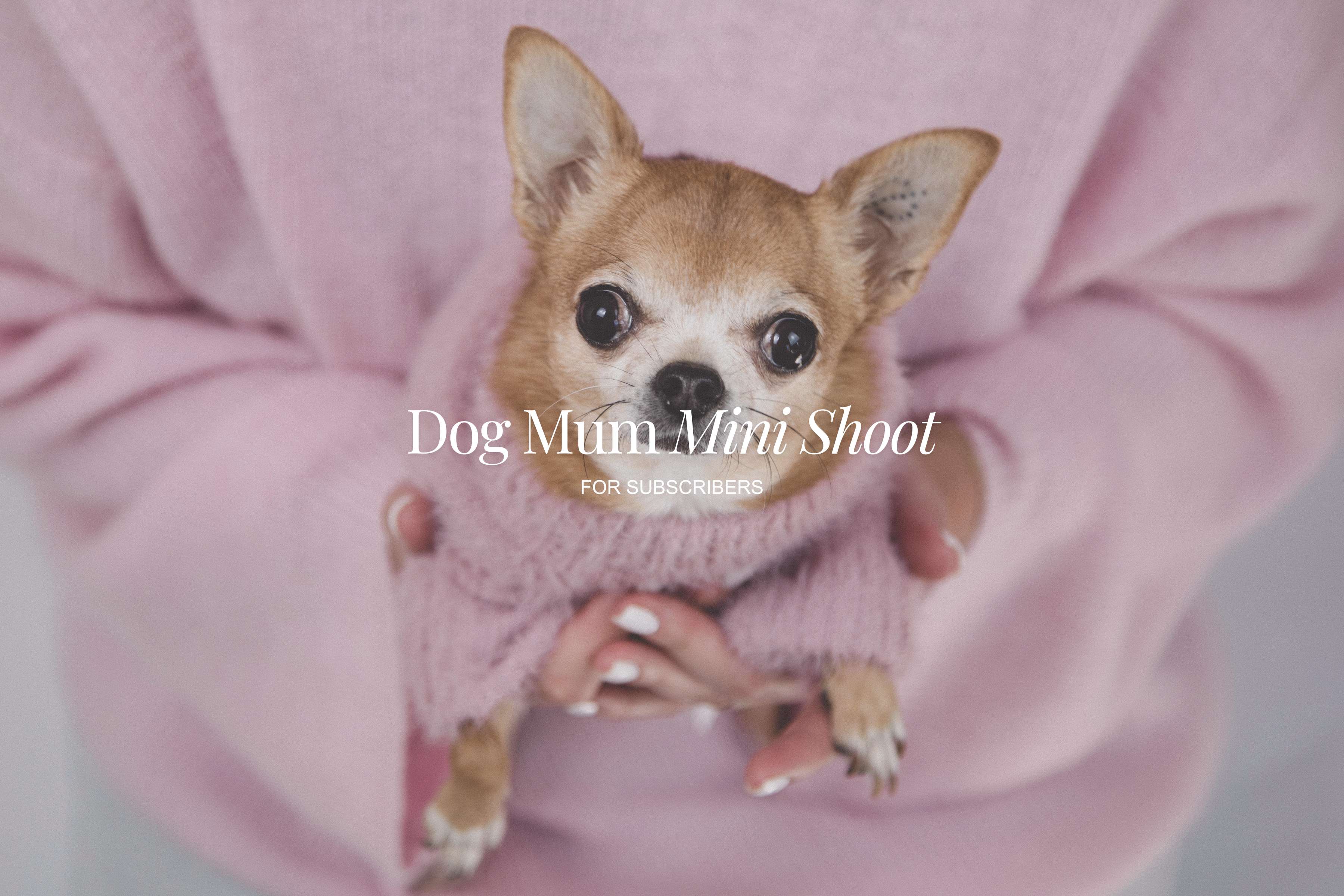Dog Mum Mini Shoot