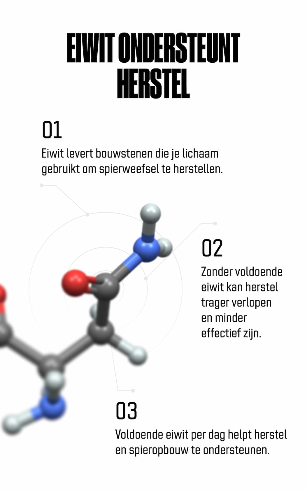 Eiwit ondersteunt herstel