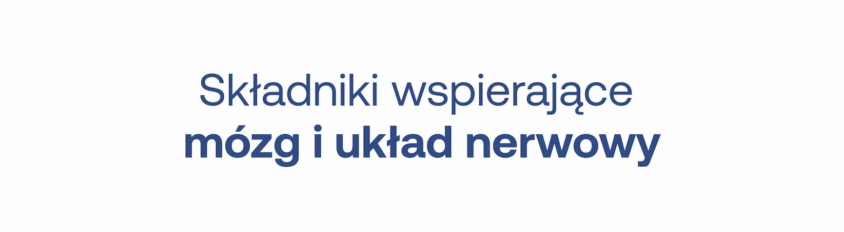 Składniki wspierające mózg i układ nerwowy