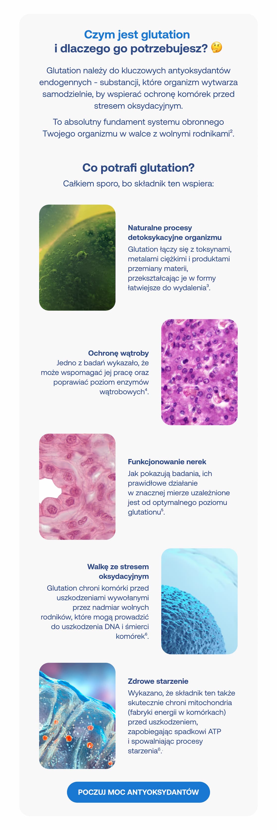 Czym jest glutation? To fundament ochrony przed wolnymi rodnikami. Wspiera detoksykację, ochronę wątroby, nerek, walkę ze stresem oksydacyjnym i zdrowe starzenie. Przycisk: POCZUJ MOC ANTYOKSYDANTÓW.