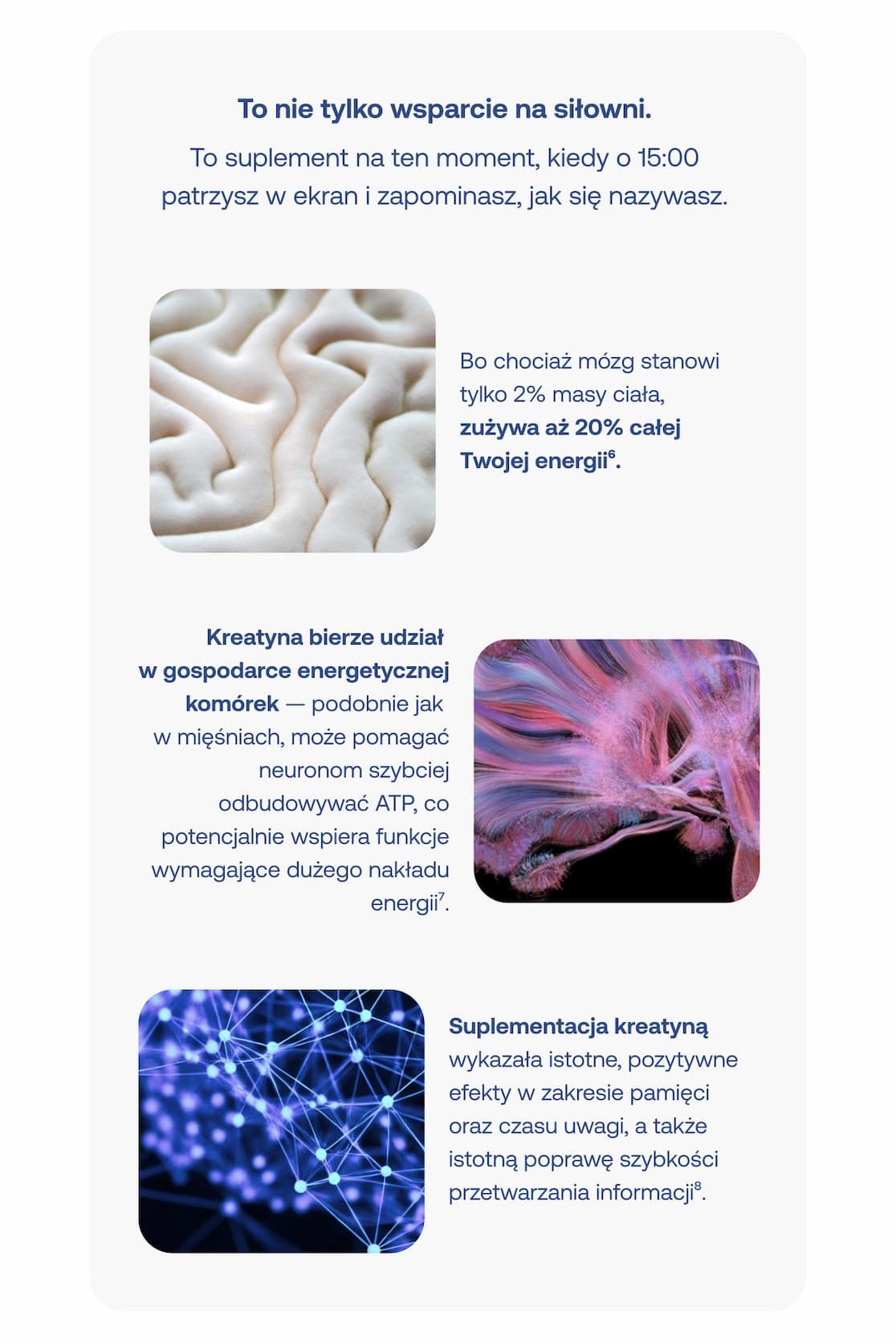 Grafika przedstawiająca strukturę mózgu i neuronów z opisem wpływu kreatyny na energię komórkową i pamięć.