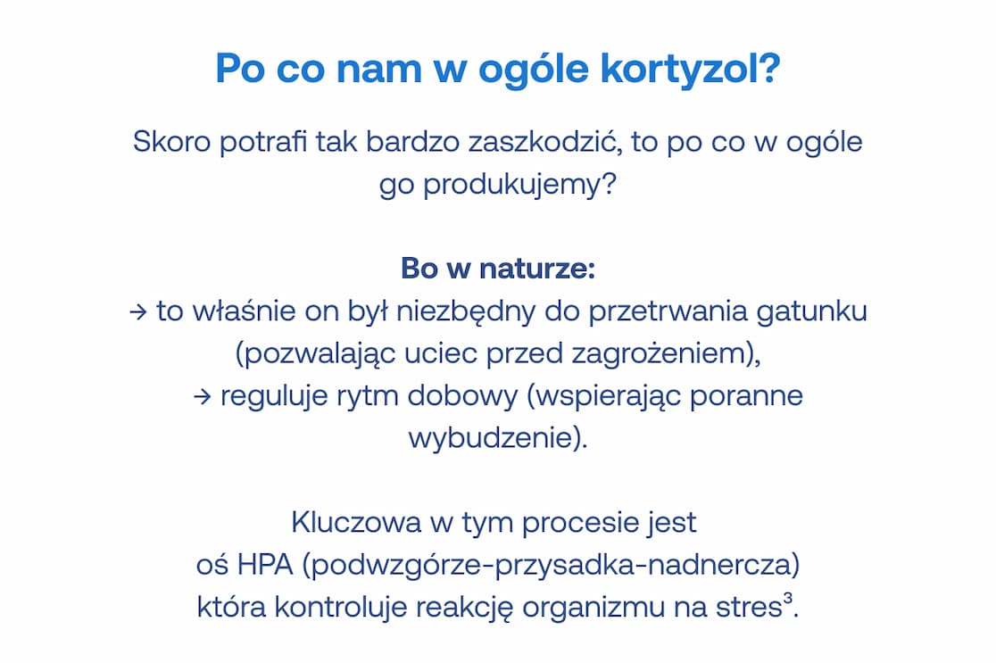 Tekst edukacyjny: "Po co nam w ogóle kortyzol?". Wyjaśnienie, że jest niezbędny do przetrwania (ucieczka przed zagrożeniem) i regulacji rytmu dobowego. Wzmianka o osi HPA (podwzgórze-przysadka-nadnercza).