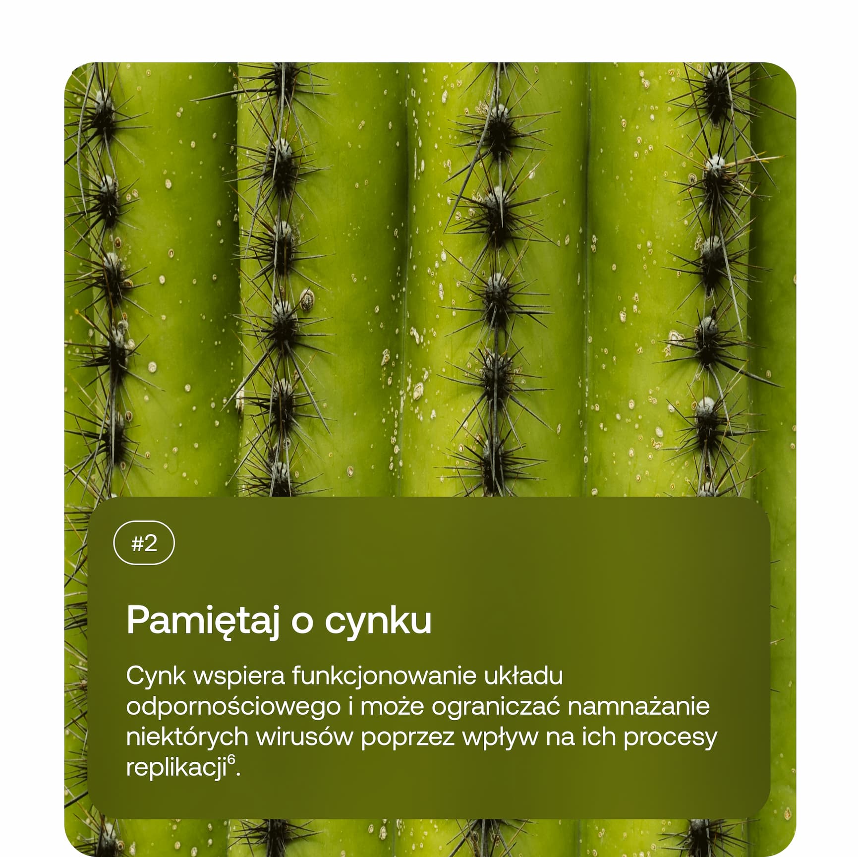 #2 Pamiętaj o cynku Cynk wspiera funkcjonowanie układu odpornościowego i może ograniczać namnażanie niektórych wirusów poprzez wpływ na ich procesy replikacji⁶.