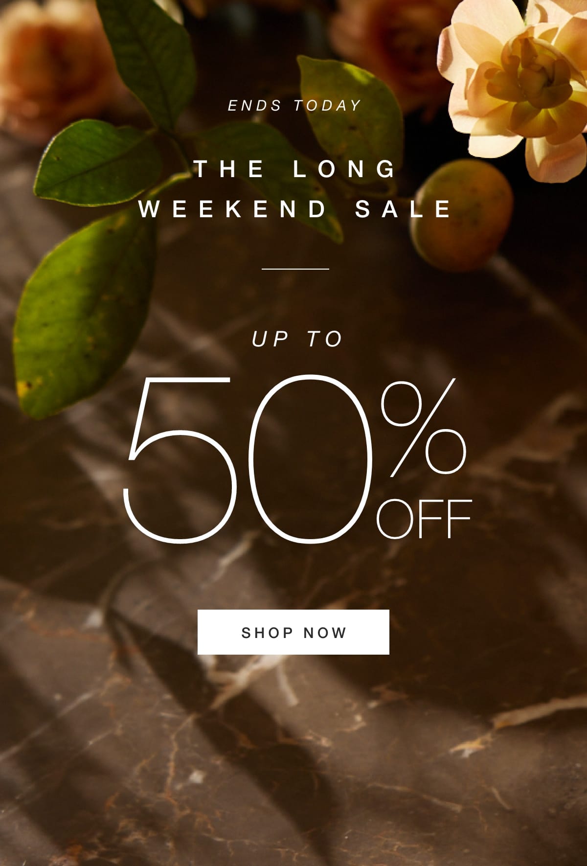 Ends Today - Shop Now