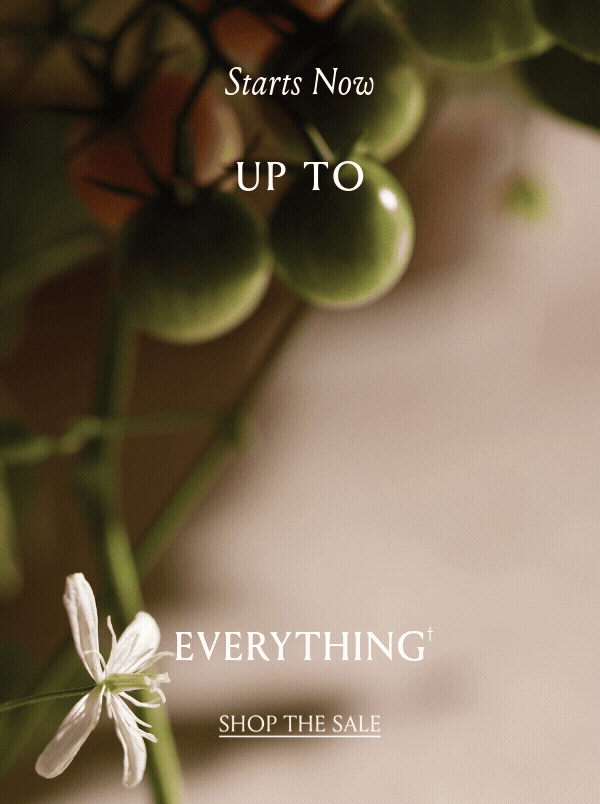Up To 50% Off | Shop The Sale