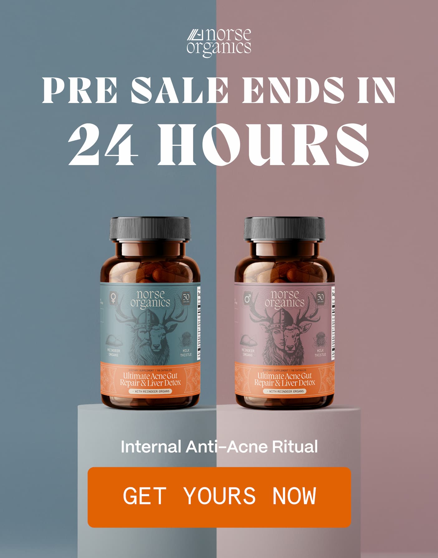 PRE SALE ENDS IN 24 HOURS - GET YOURS NOW