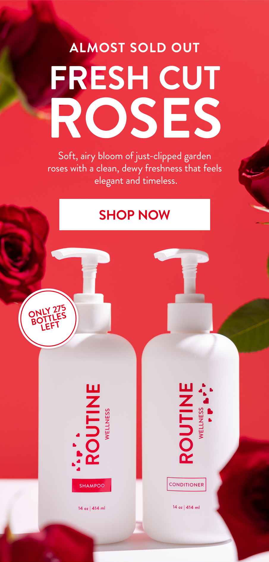 Fresh Cut Roses Almost Sold Out