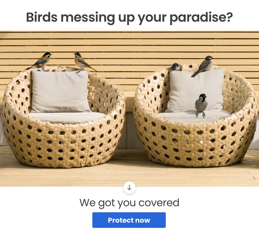 Birds messing up your paradise? | we got you covered | Protect now