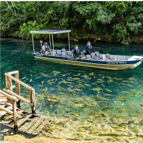 A small boat on clear waters surrounded by fish
