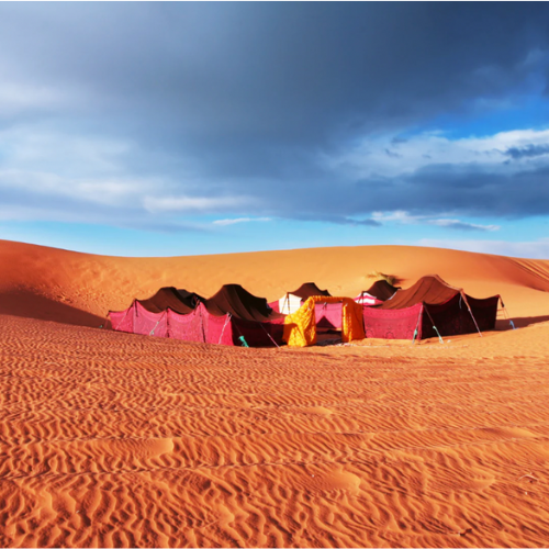 Bedouin tents in the desert